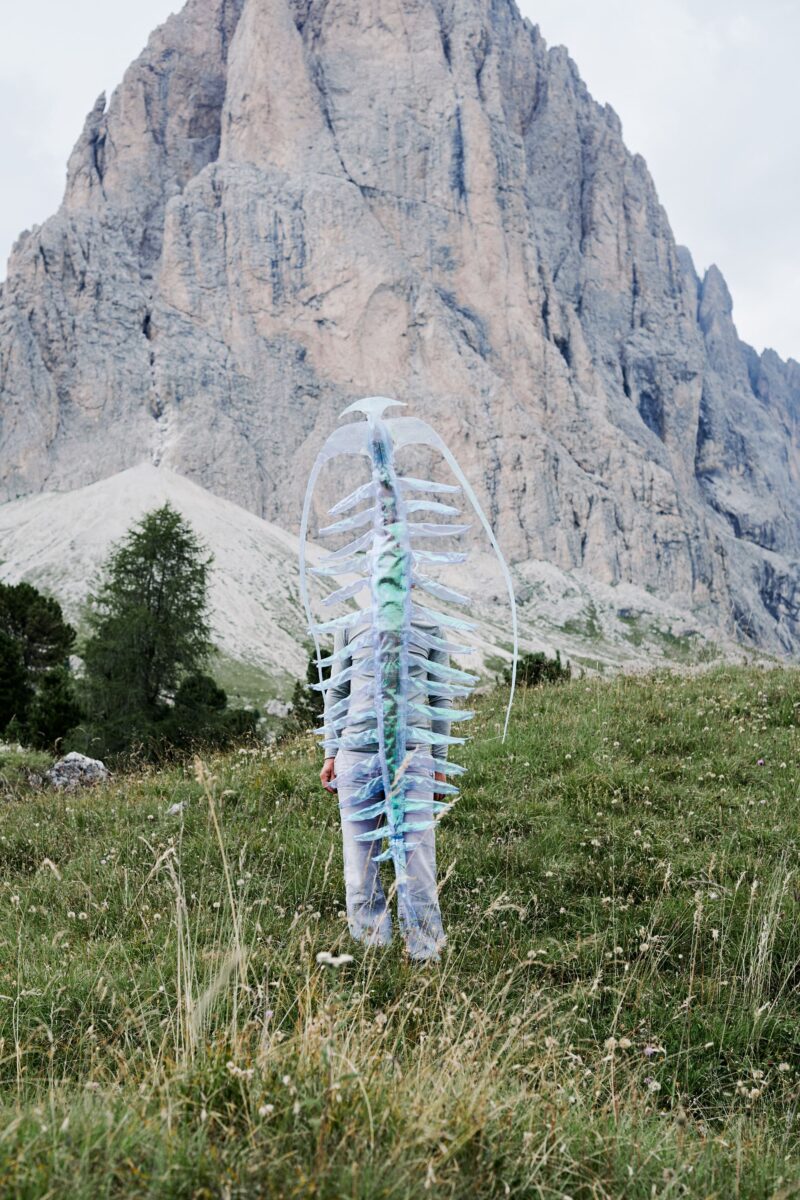 Il corpo collettivo 3 Plankton 107 72dpi Linda Jasmin Mayer